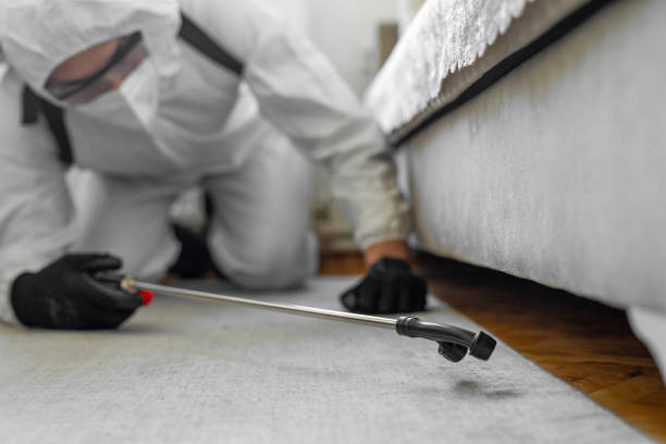 Professional Bed Bug Control technician working in Los Chaves, NM