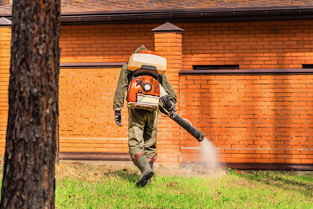 Trusted Bed Bug Control service in Los Chaves, NM - Nex Pest Control